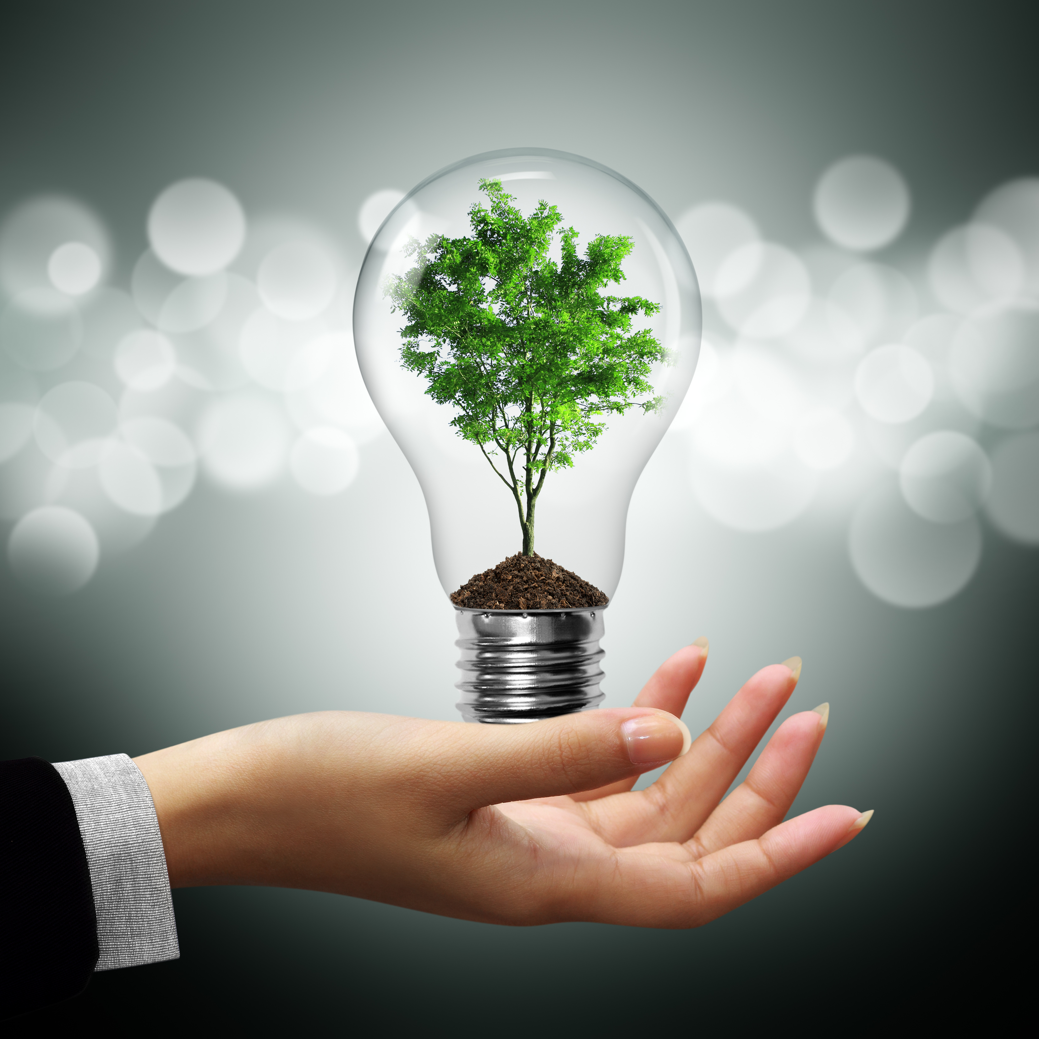 shutterstock_89624878