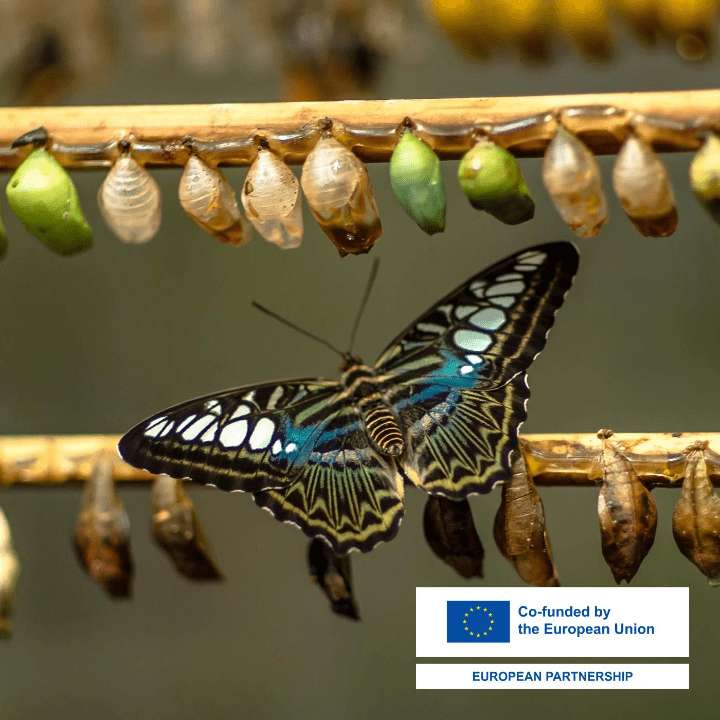 Otvara se novi poziv za program Eurostars: Dostupno 200.000 eura za inovativne projekte međunarodne suradnje