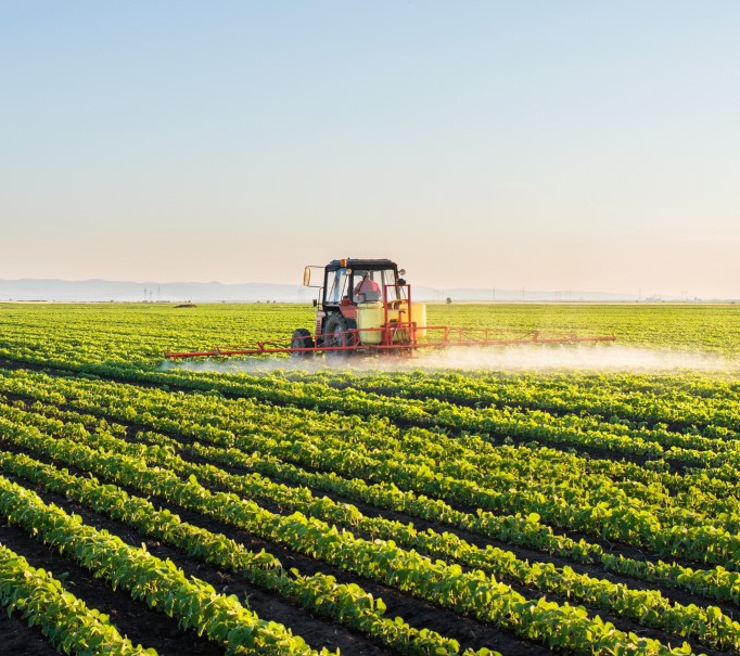 hamag-stock-photo153-s