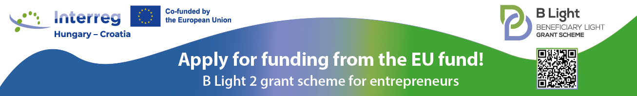 B Light 2_banner 1307 x 197 px-2