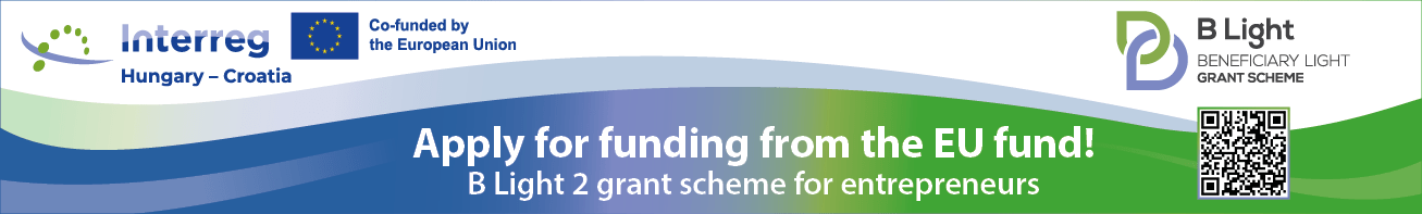 B Light 2_banner 1307 x 197 px_3